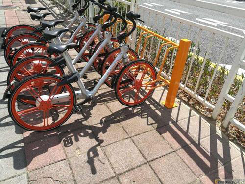 海南廣東省林業(yè)科學(xué)研究院雙層自行車停車架成功案例